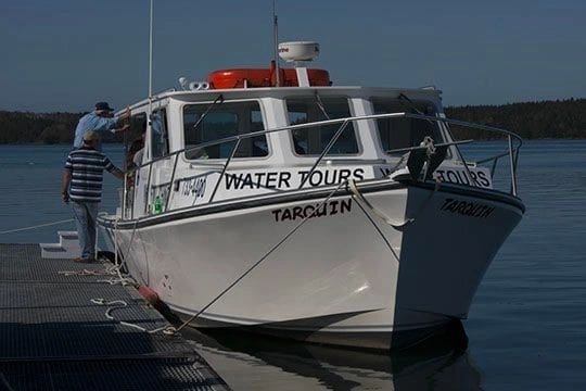 A white boat is docked in the water.